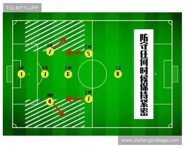 北京篮球队的速度解析与战术运用探讨如何提升球队整体竞争力 北京篮球队的速度解析与战术运用探讨如何提升球队整体竞争力