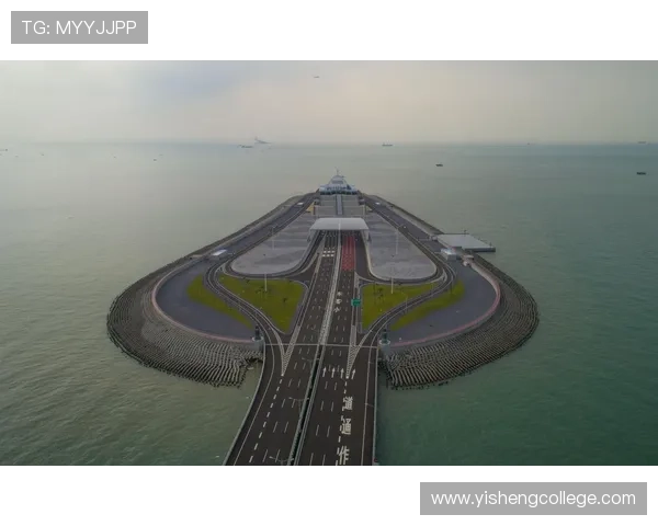 北京排球队在联合会杯中的辉煌历程与突破成就全景回顾