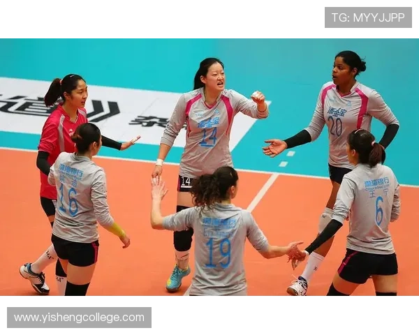 北京排球队的节奏变化对比赛表现的深远影响与反思 北京排球队的节奏变化对比赛表现的深远影响与反思