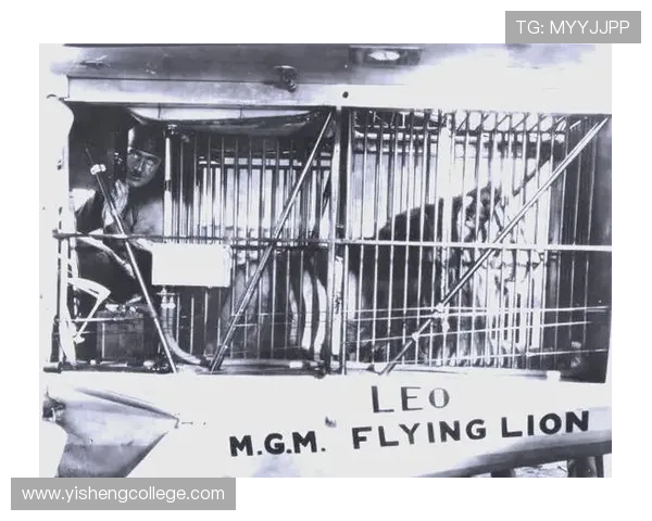 狮子足球明星的传奇故事与辉煌成就揭秘